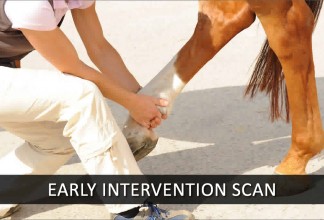 Detect Early Onset of Injury and Intervene