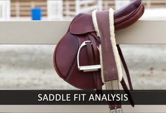 Does Your Saddle Really Fit Your Horse?